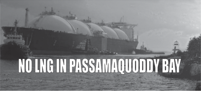 LNG carrier near Head Harbour Lightstation