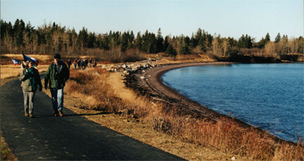 Between Western Passage and sweetgrass marsh