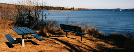 Picnic table and bench