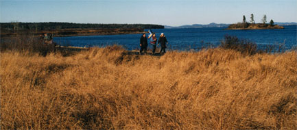 Second Island in Western Passage