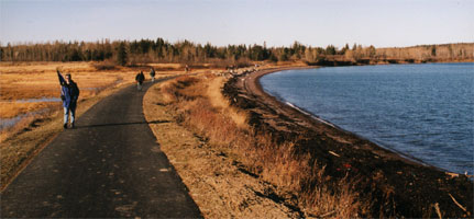 Sweetgrass Marsh and Western Passage
