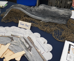 Save Passamaquoddy Bay fans