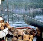 Herring scale baskets at weir.