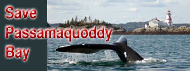 Save Passamaquoddy Bay